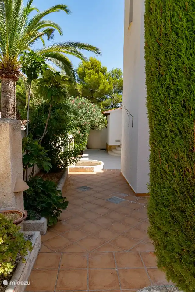 Terrasse côté nord