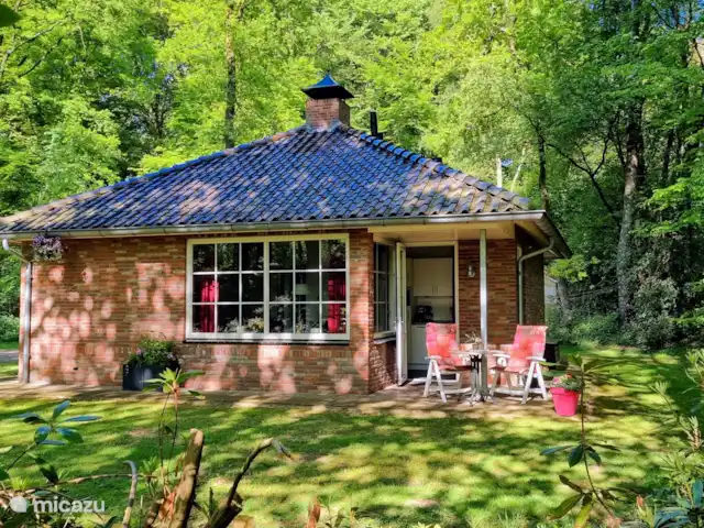 El cárabo en Países Bajos, Overijssel, Ootmarsum - bungaló Cottage de Bosuil