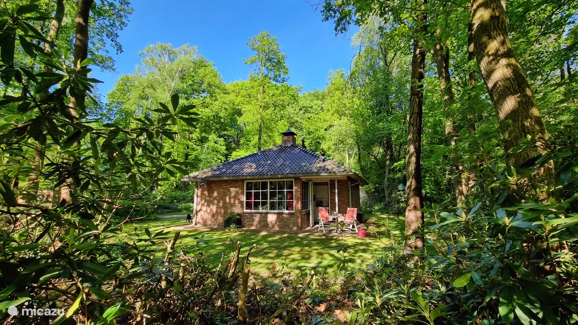 bungalow, Reutum, Overijssel, Niederlande - Der Waldkauz