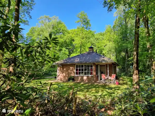 El cárabo en Países Bajos, Overijssel, Ootmarsum - bungaló El cárabo en Países Bajos, Overijssel, Ootmarsum - bungaló