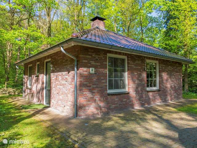 Ferienwohnung Niederlande, Twente – bungalow Der Waldkauz