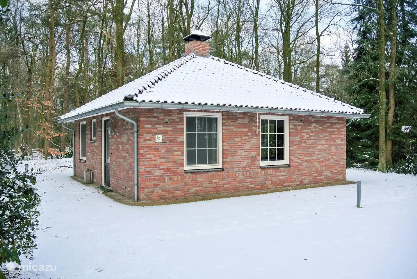 Der Waldkauz im Winter