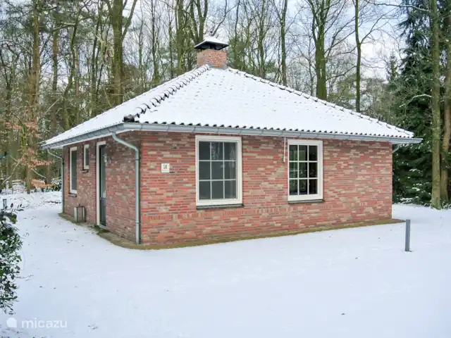 El cárabo en Países Bajos, Overijssel, Ootmarsum - bungaló El cárabo en invierno
