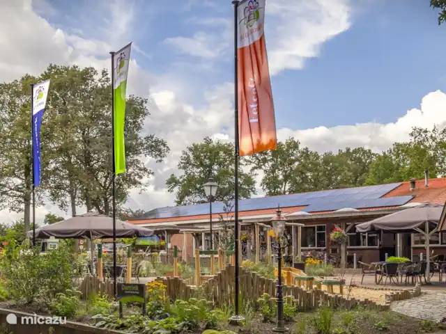 El cárabo en Países Bajos, Overijssel, Ootmarsum - bungaló Terraza en los manantiales
