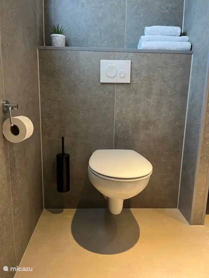 Salle de bain spacieuse avec lavabo, toilettes et douche