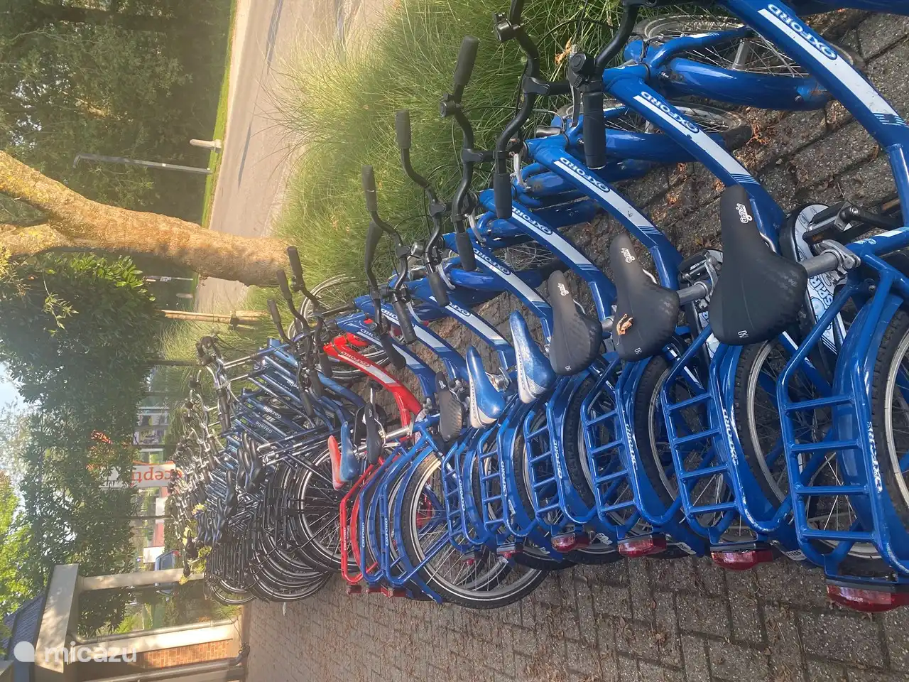 En plus des vélos ordinaires, il existe également des vélos pour enfants et des vélos électriques à louer.