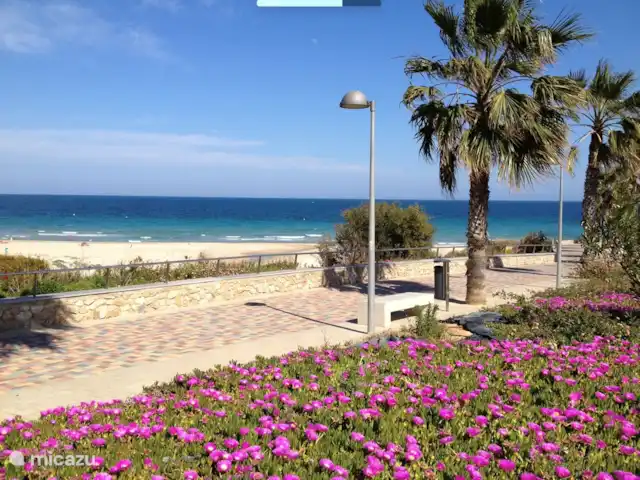 Casa Riomar huren in Spanje, Costa Blanca, Torre de la Horadada - vakantiehuis Strand en promenade