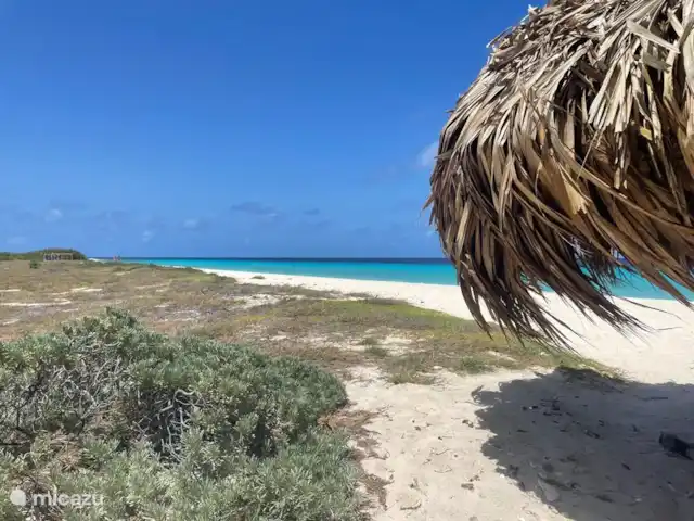 Gezellige villa op Blue Bay huren in Curaçao, Curacao-Midden, Blue Bay - villa Klein Curacao