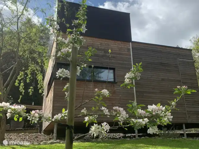Location de Vacances Belgique, Ardennes, Durbuy, cabane en bois / lodge - Cube Sauvage Durbuy