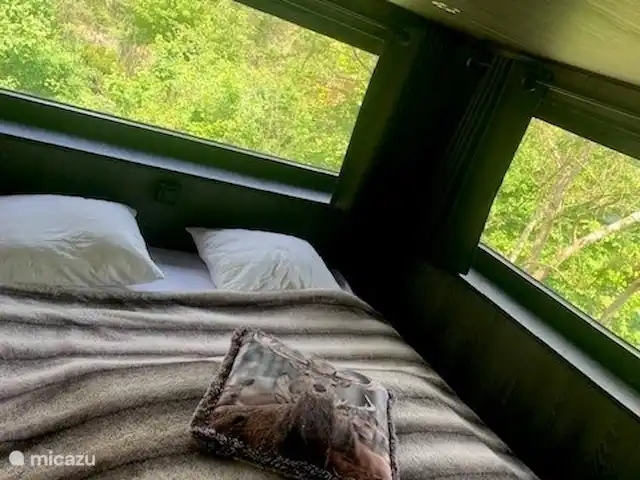 Location de Vacances Belgique, Ardennes, Durbuy, cabane en bois / lodge - Cube Sauvage Durbuy Lit Lounge XL avec vue sur le jardin