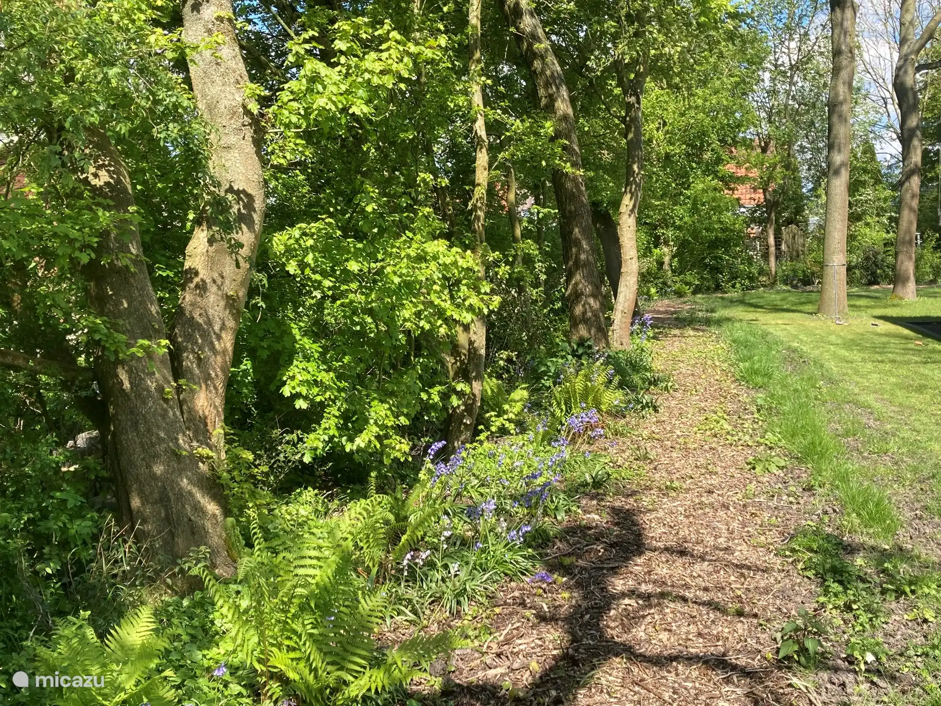 The garden in the spring