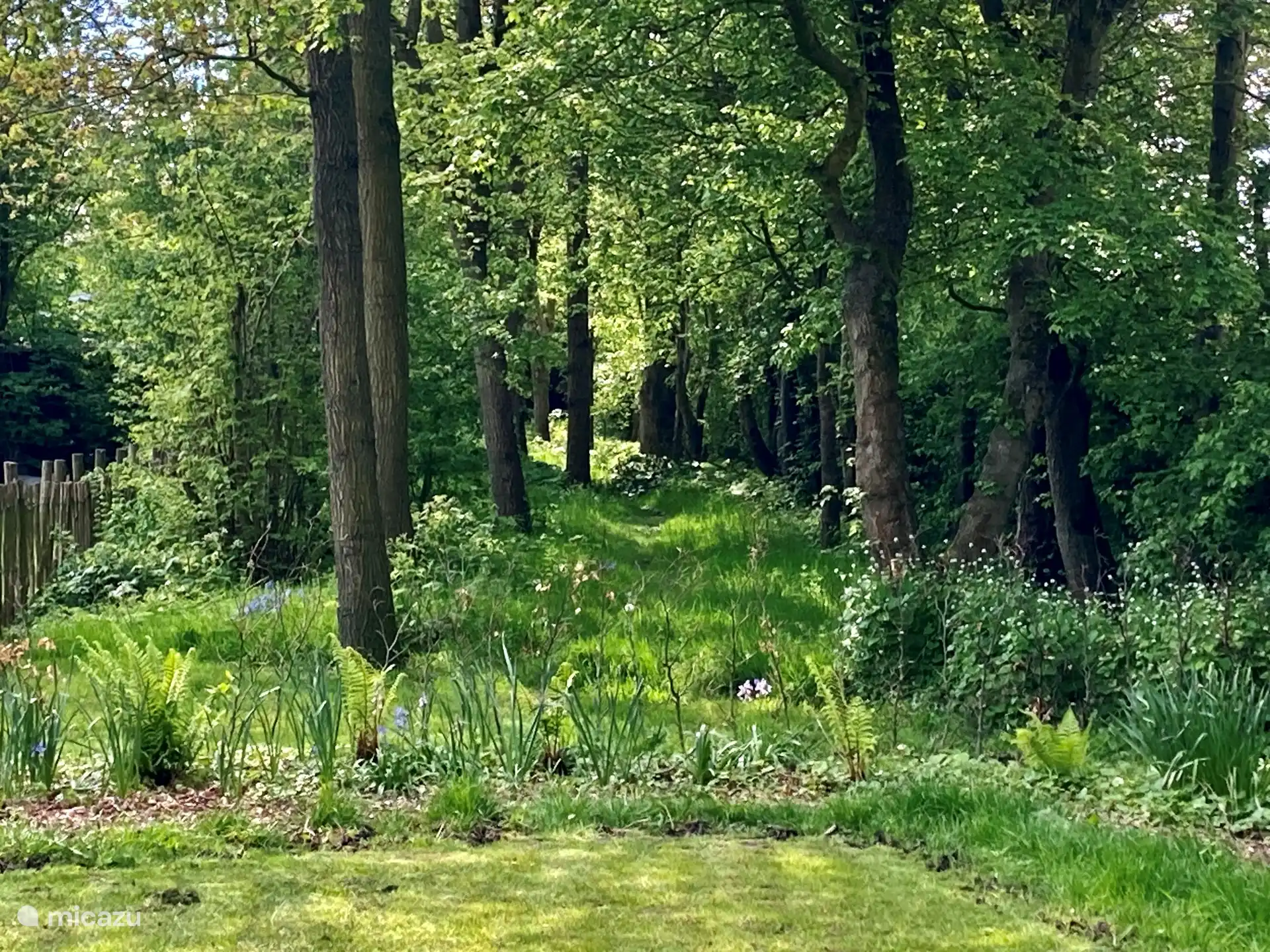 A walking path outside the house