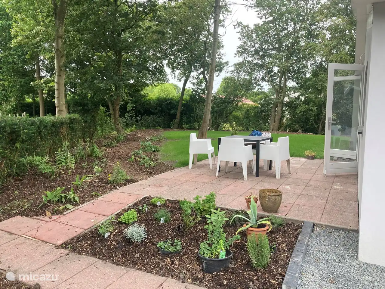 The south-facing terrace with the herb garden