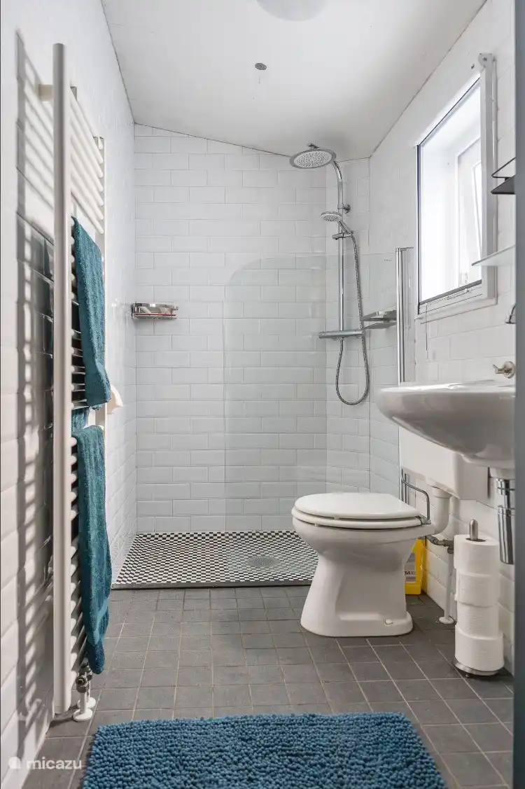 Salle de bain avec douche, toilettes et lavabo