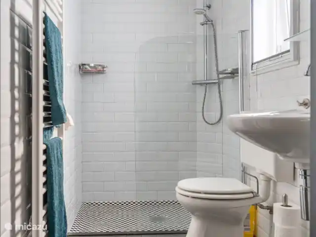 Joli chalet l'IJsvogel Veluwe | Pays-Bas, Gueldre, Voorthuizen - chalet Salle de bain avec douche, toilettes et lavabo