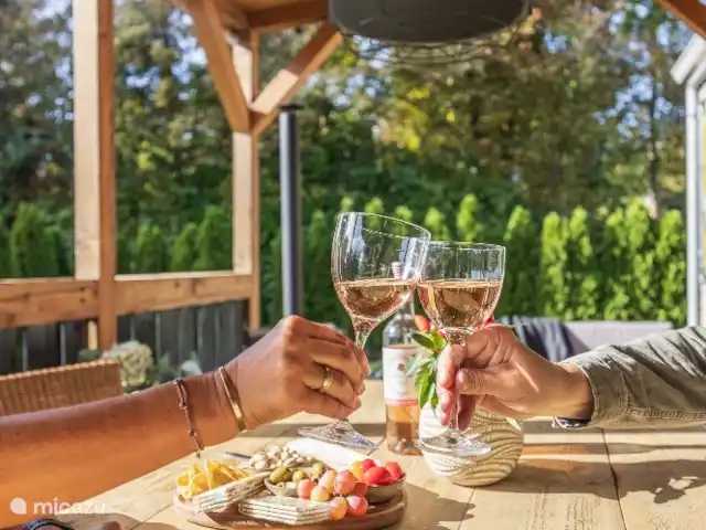 Joli chalet l'IJsvogel Veluwe | Pays-Bas, Gueldre, Voorthuizen - chalet Délicieux avec un verre de vin sur la véranda