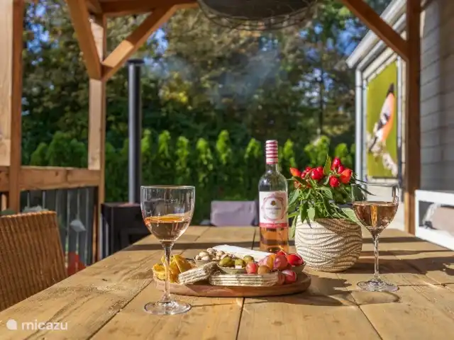 Joli chalet l'IJsvogel Veluwe | Pays-Bas, Gueldre, Voorthuizen - chalet Asseyez-vous sur la véranda