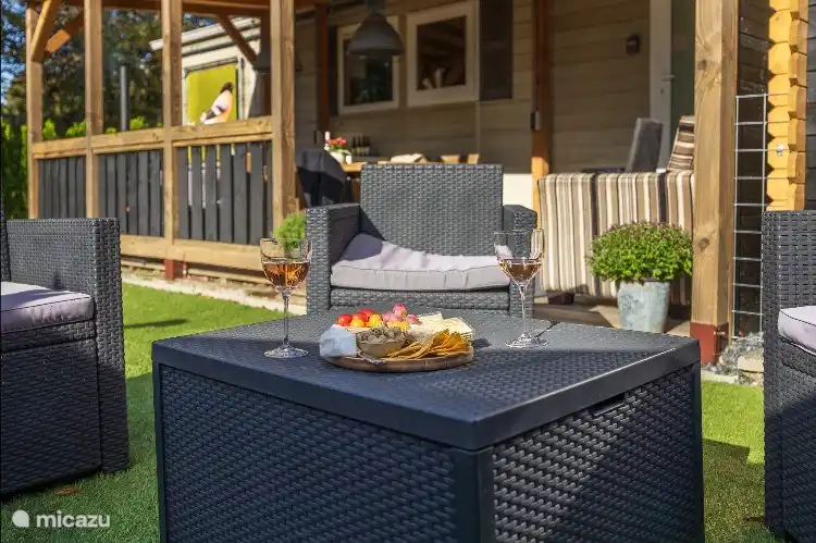 Joli coin salon dans le jardin ensoleillé avec cabanon