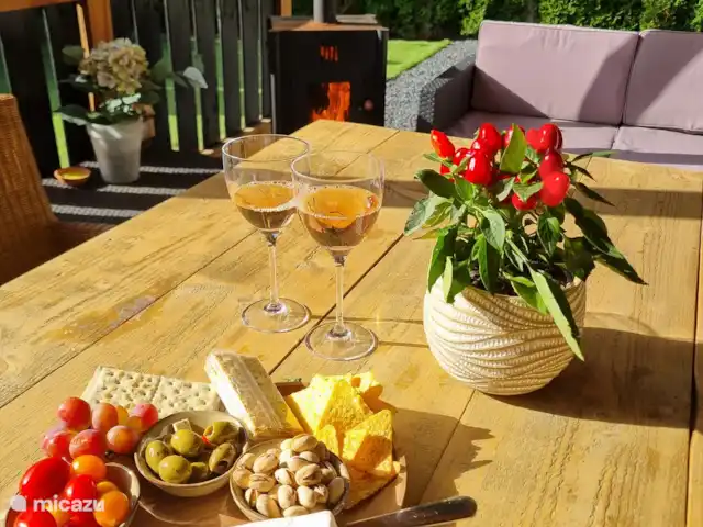 Joli chalet l'IJsvogel Veluwe | Pays-Bas, Gueldre, Voorthuizen - chalet Belle véranda avec poêle à granulés