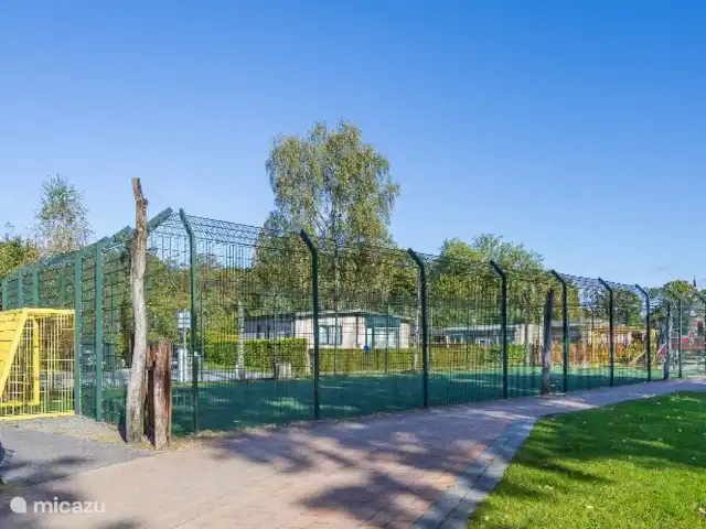 Joli chalet l'IJsvogel Veluwe | Pays-Bas, Gueldre, Voorthuizen - chalet Cage de foot
