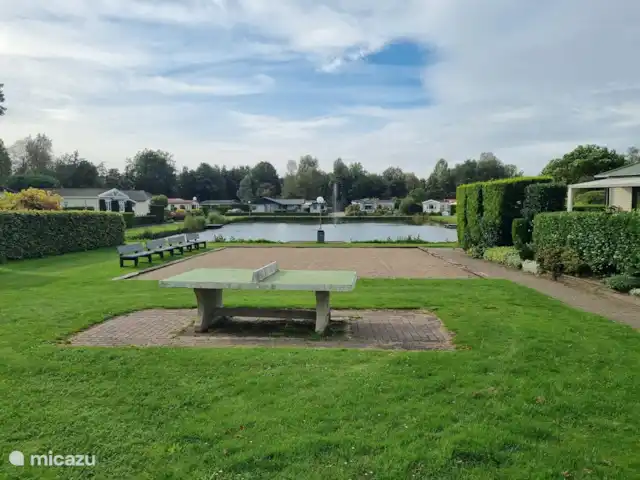 Joli chalet l'IJsvogel Veluwe | Pays-Bas, Gueldre, Voorthuizen - chalet Etang à poissons, table de ping-pong et pétanque