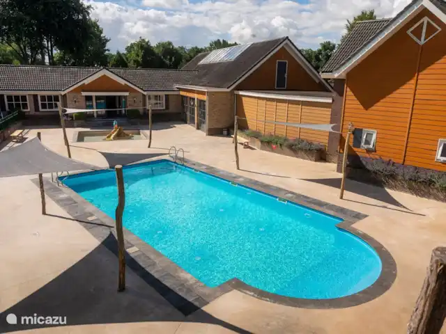 Joli chalet l'IJsvogel Veluwe | Pays-Bas, Gueldre, Voorthuizen - chalet Piscine extérieure