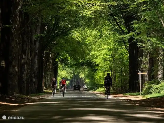 Joli chalet l'IJsvogel Veluwe | Pays-Bas, Gueldre, Voorthuizen - chalet La location de vélos est disponible au domaine de loisirs IJsvogel