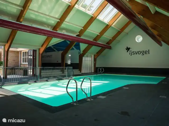Joli chalet l'IJsvogel Veluwe | Pays-Bas, Gueldre, Voorthuizen - chalet Piscine intérieure
