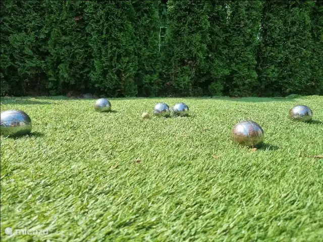Joli chalet l'IJsvogel Veluwe | Pays-Bas, Gueldre, Voorthuizen - chalet Vous pourrez jouer à la pétanque dans le jardin ainsi que sur le terrain de pétanque (Balles à disposition)