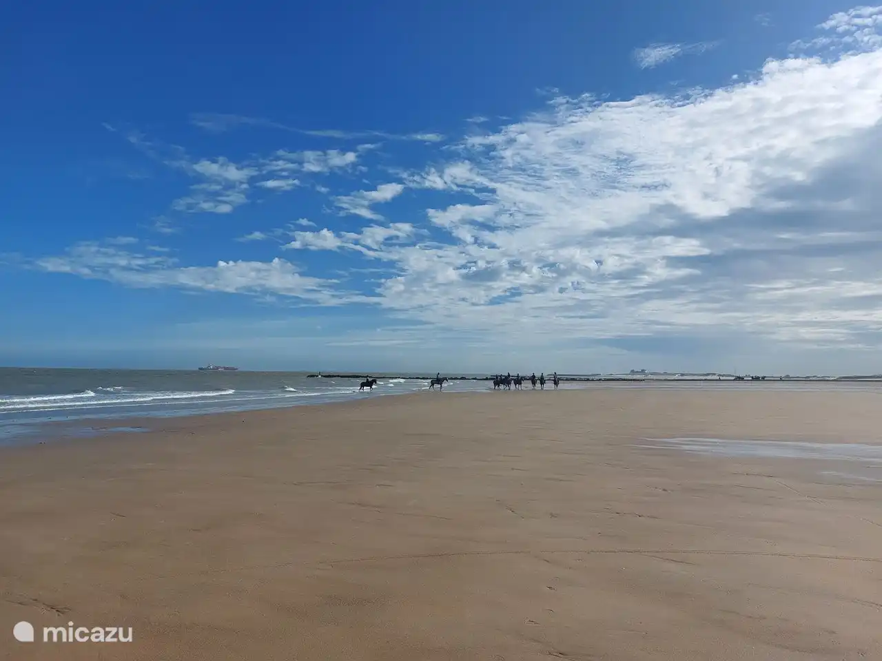 De belles promenades à marée basse sur la plage du Zoute à Surfers Paradise.