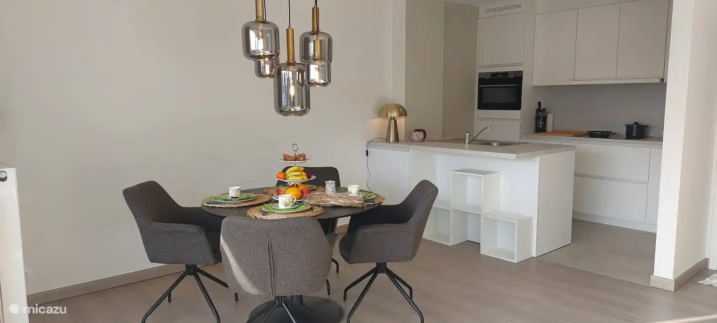 Cuisine ouverte avec four combiné et plaque de cuisson ! hotte aspirante, réfrigérateur avec congélateur et coin repas.