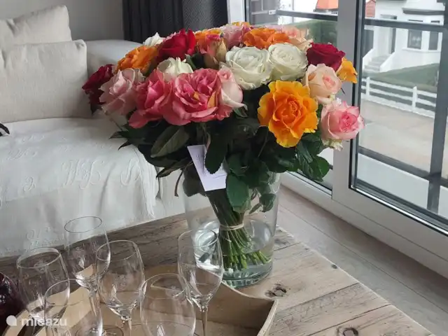 Acogedora casa de campo Knokke en Bélgica, Costa Belga, Knokke - apartamento