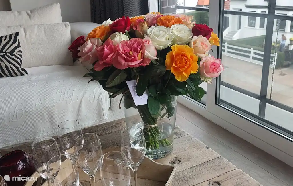 Cosy Cottage Knokke