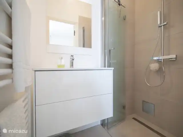 Haute Vue-villa huren in Frankrijk, Var, Montauroux - villa En-suite badkamer (Bed3)