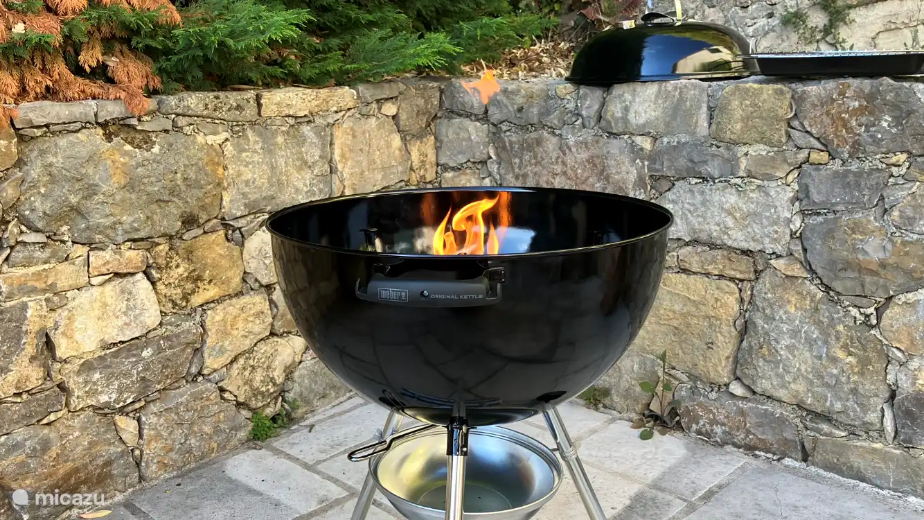 Weber barbecue