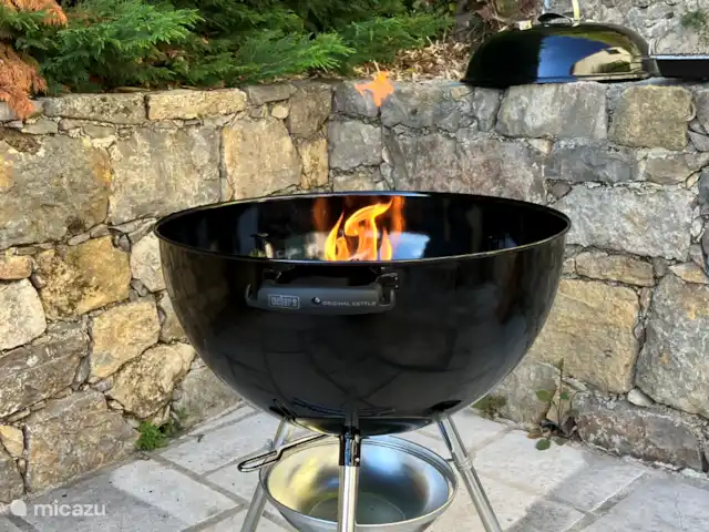 Haute Vue-villa huren in Frankrijk, Var, Montauroux - villa Weber barbecue