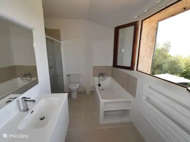 Haute Vue-villa huren in Frankrijk, Var, Montauroux - villa En-suite badkamer (Bed1)