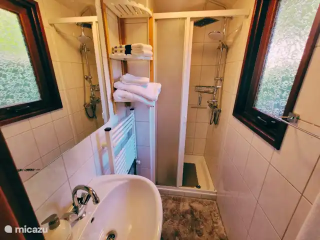 Chalet 'De Jungle' en IJsselheide en Países Bajos, Güeldres, Hattemerbroek - chalet baño