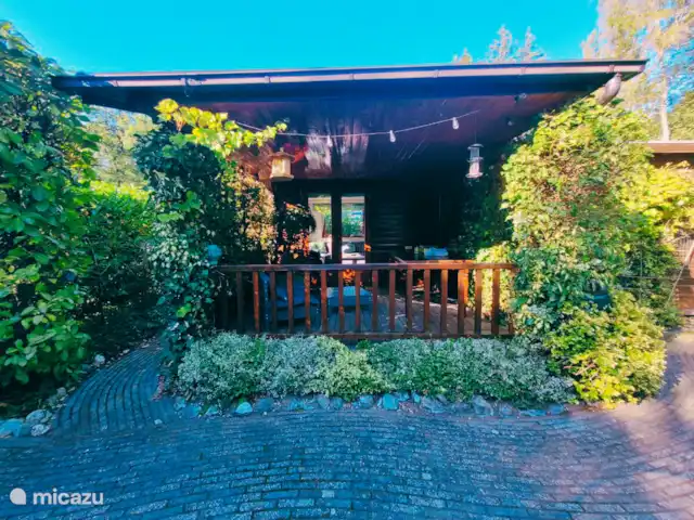 Chalet 'De Jungle' en IJsselheide en Países Bajos, Güeldres, Hattemerbroek - chalet veranda