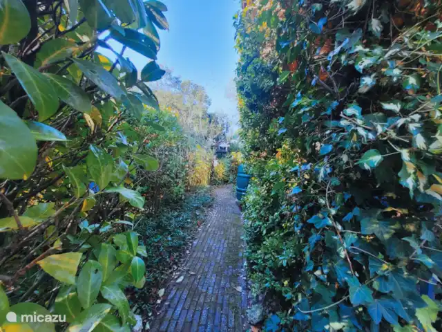Chalet 'De Jungle' en IJsselheide en Países Bajos, Güeldres, Hattemerbroek - chalet frente del chalet
