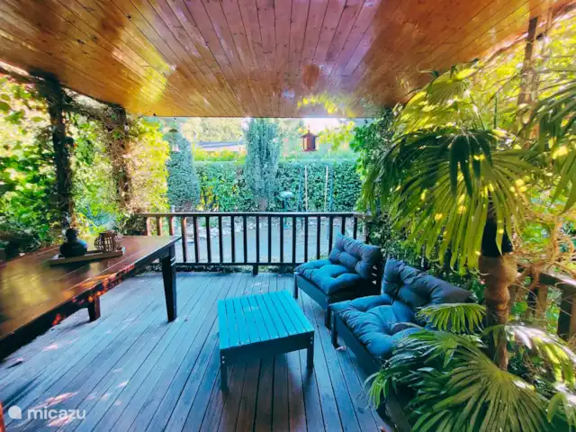 Chalet 'De Jungle' en IJsselheide en Países Bajos, Güeldres, Hattemerbroek - chalet veranda