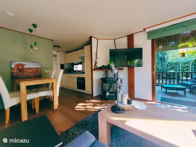 Chalet 'De Jungle' en IJsselheide en Países Bajos, Güeldres, Hattemerbroek - chalet salón + televisión