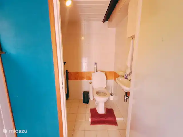 Chalet 'De Jungle' en IJsselheide en Países Bajos, Güeldres, Hattemerbroek - chalet baño