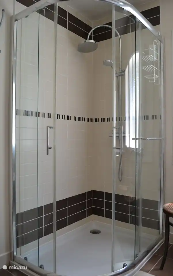 Salle de bain avec douche à effet pluie