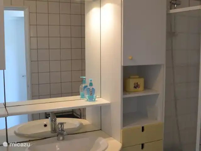 Maison de vacances Mandevilla | France, Hérault, Cantagrils-Argelliers - maison de vacances Salle de bain avec baignoire avec paroi de douche