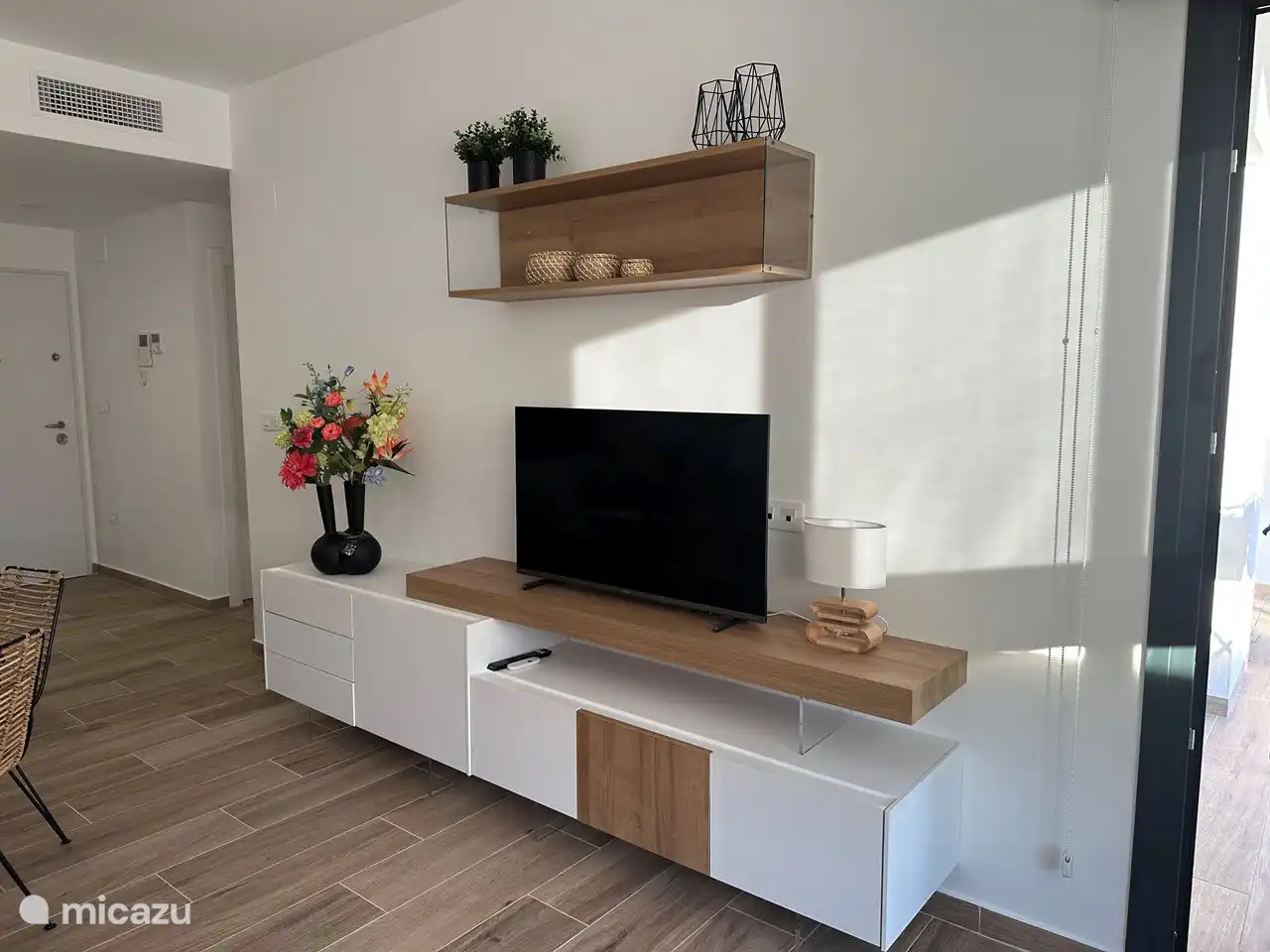 Mueble de TV con wifi y canales holandeses 