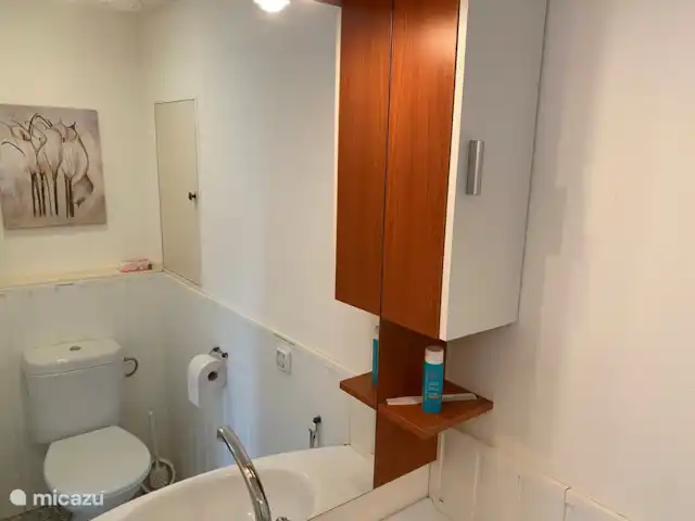 Piscine chauffée 'Le Veyou' et climatisation | France, Drôme, Beaufort-sur-Gervanne - maison de vacances Les toilettes de la chambre 2.