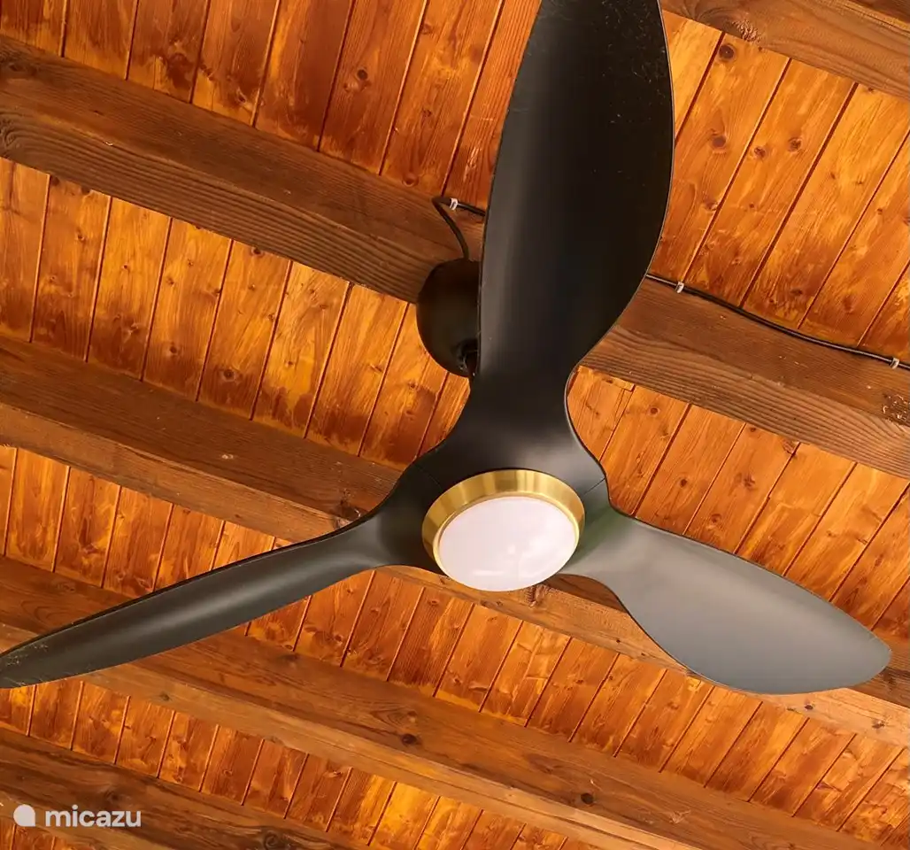 ...a ceiling fan with lighting.