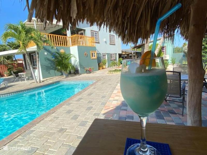 Vakantiehuis Aruba, Paradera, Paradera Appartement La Felicidad Aruba - Mariposa Felis