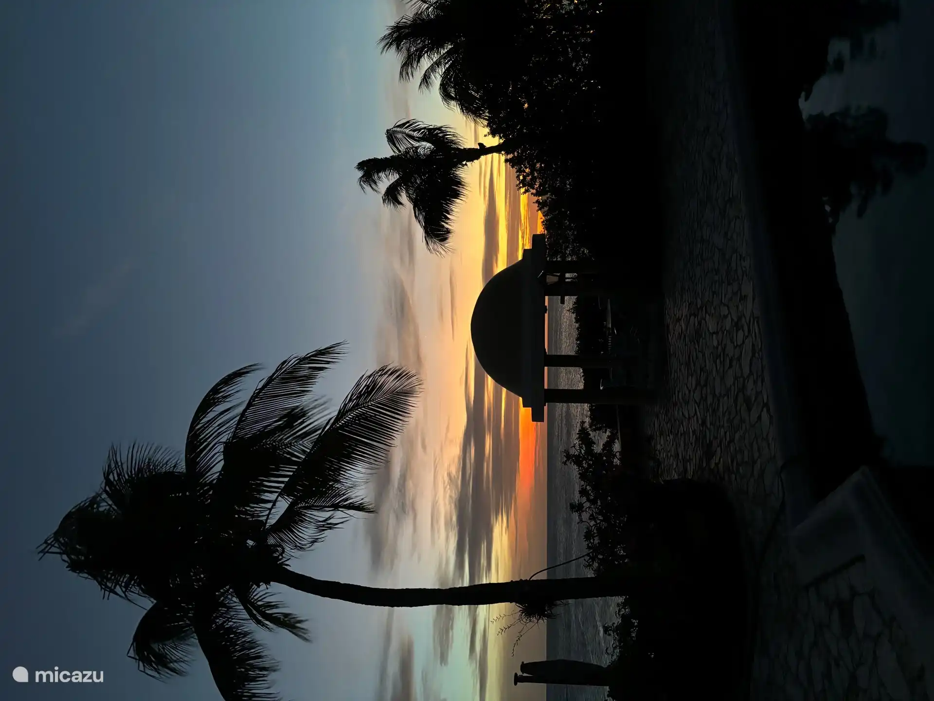 Der Garten bei Sonnenuntergang